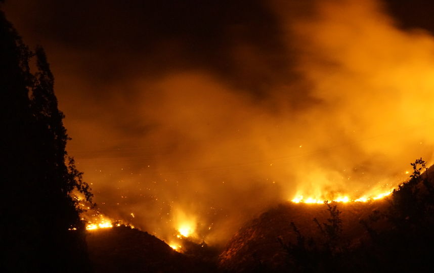 Лесные пожары в Чили. Фото Wikipedia