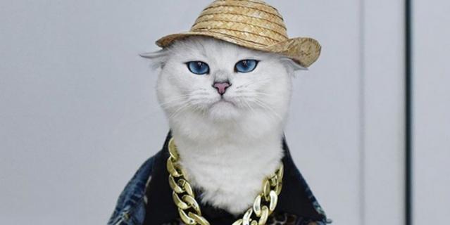 Коби.