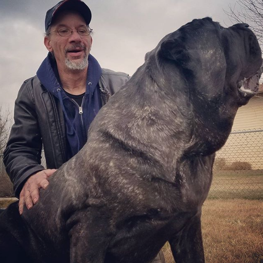 Щенок по кличке Евфрат. Фото www.instagram.com/darkmountainmolossus