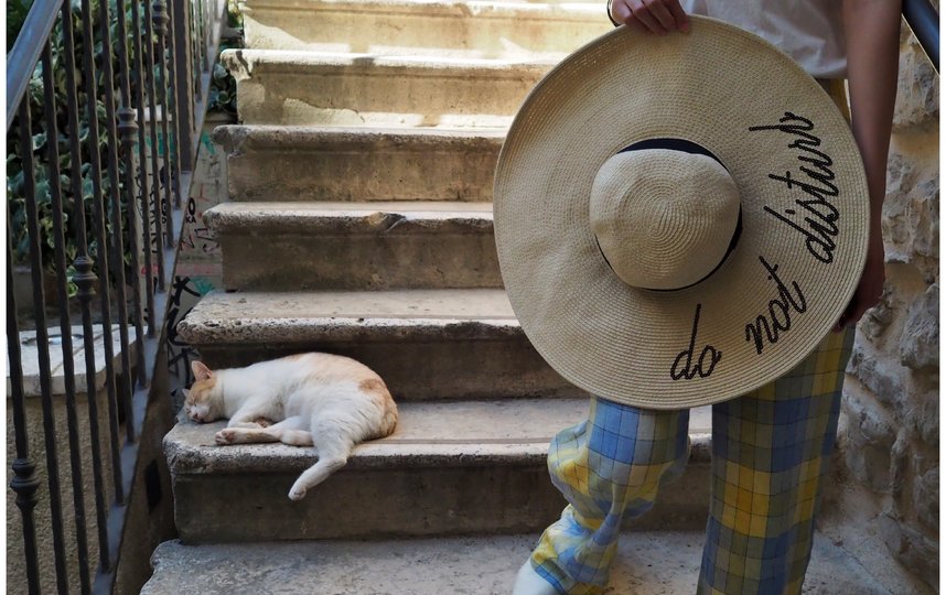 "Не беспокоить". Фото Tilman Wagner/ Comedy Pet Photo Awards 2020