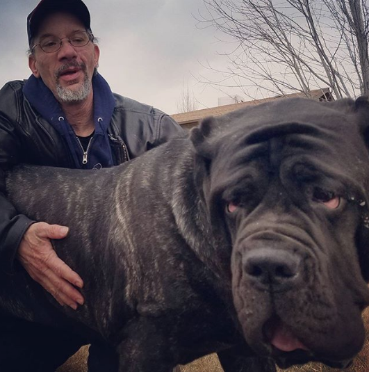 Щенок по кличке Евфрат. Фото www.instagram.com/darkmountainmolossus