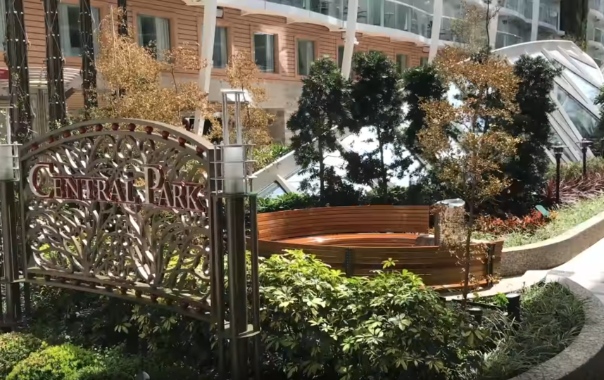 Скриншот https://www.youtube.com/watch?v=w-hST6OLgvQ. Фото Скриншот Youtube