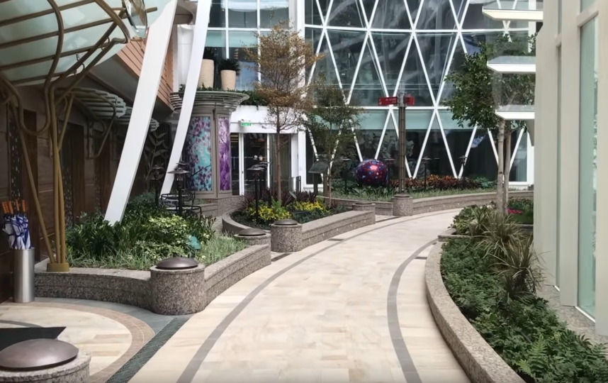 Скриншот https://www.youtube.com/watch?v=w-hST6OLgvQ. Фото Скриншот Youtube