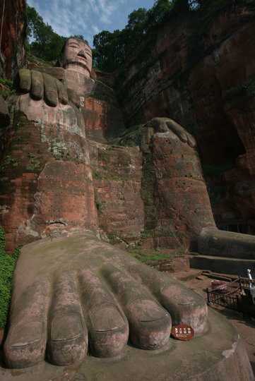 Длина пальцев – 1,6 м. Фото Getty