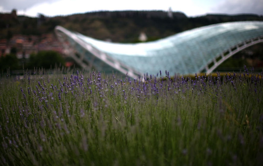 В Грузии предложили запустить "шаттлы" из Еревана и Баку для россиян