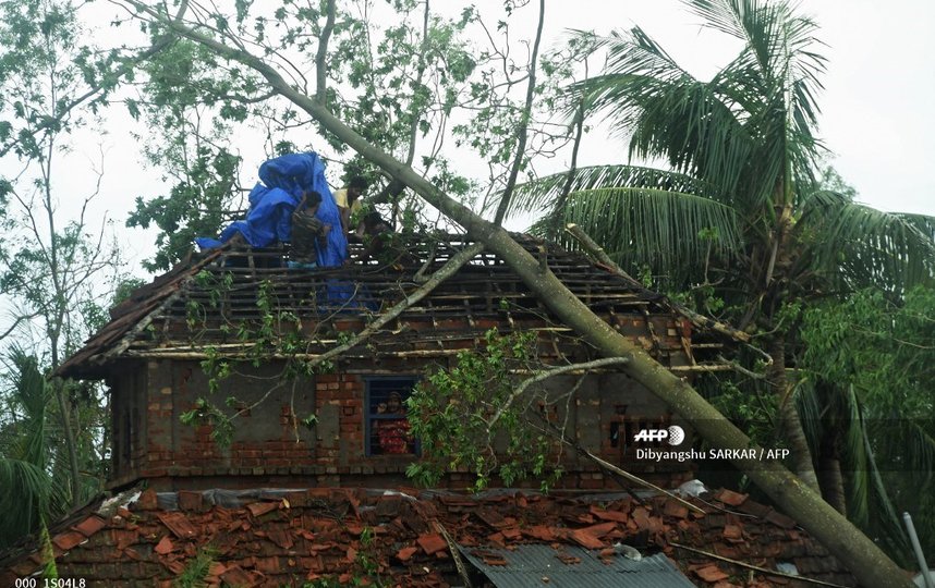 Многие дома были разрушены из-за повалившихся на них деревьев. Фото AFP