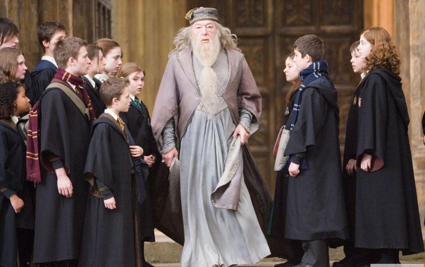 Кадр из фильма "Гарри Поттер и Орден Феникса". Фото Каро-Премьер, kinopoisk.ru