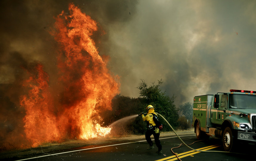 В Калифорнии уже сгорело более двух миллионов акров земли. Фото AFP