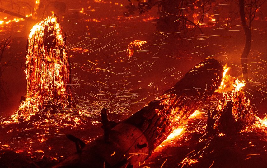 В Калифорнии уже сгорело более двух миллионов акров земли. Фото AFP