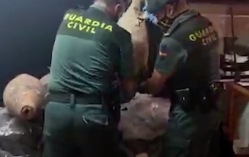 Необычная находка была сделана во время проведения плановой проверки в Аликанте. Фото скриншот Instagram @guardiacivil062