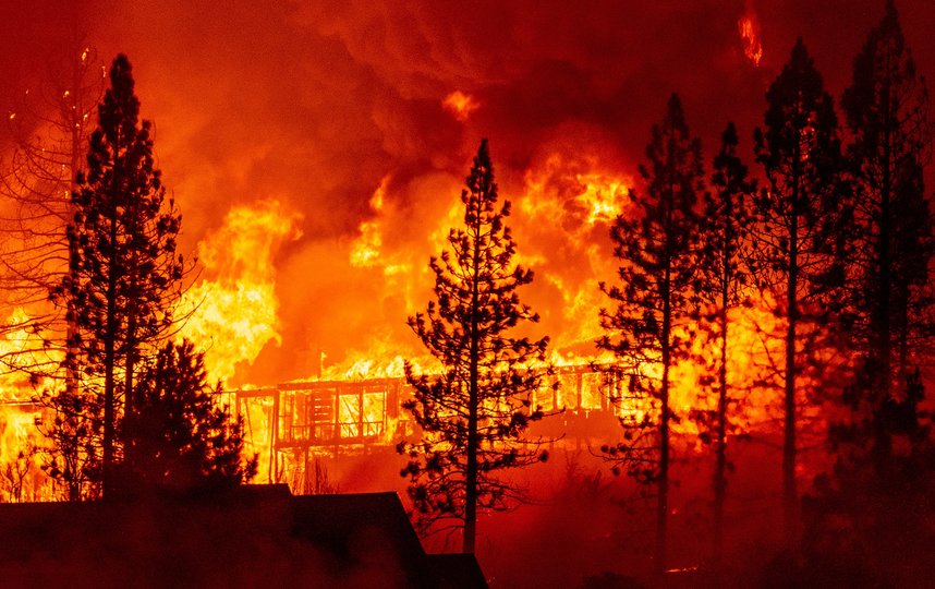 В Калифорнии бушуют пожары: фото с места ЧП