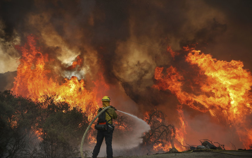 В Калифорнии уже сгорело более двух миллионов акров земли. Фото AFP