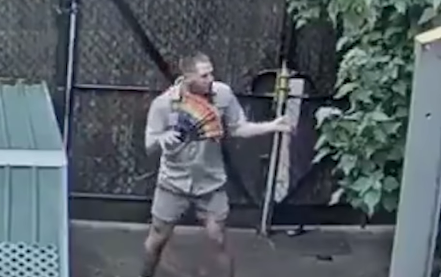 Танцующий сотрудник зоопарка в Мельбурне покорил пользователей Сети: видео