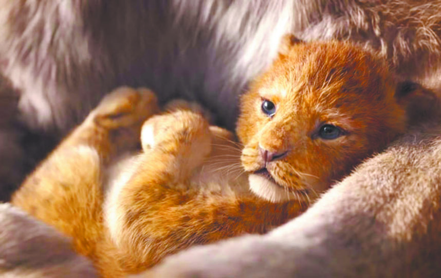 Персонаж фильма Симба в детстве. Кадр из фильма. Фото Walt Disney Studios Sony Pictures Releasing