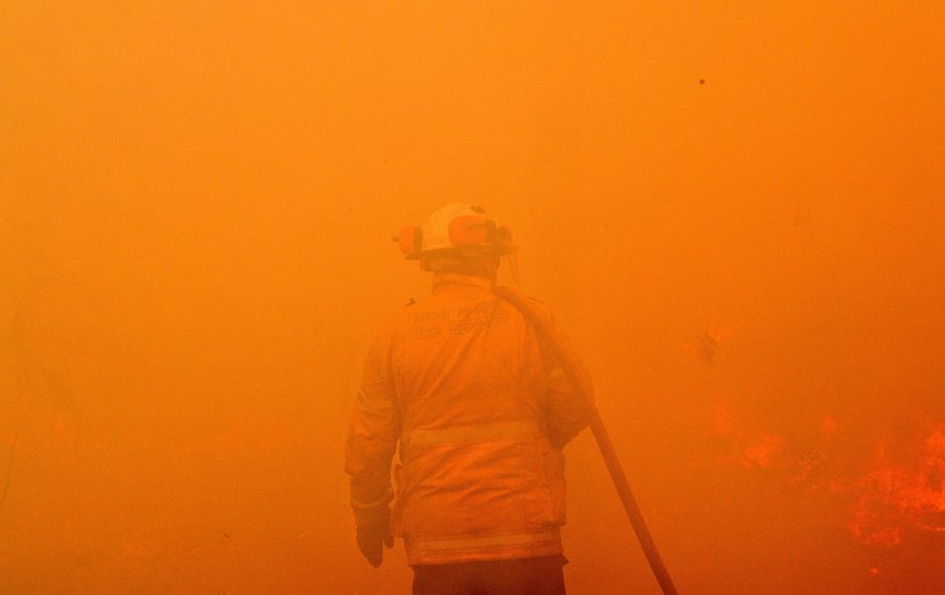 В результате разбушивавшихся лесных пожаров погибло шесть человек, более 700 домов было разрушено. Фото AFP