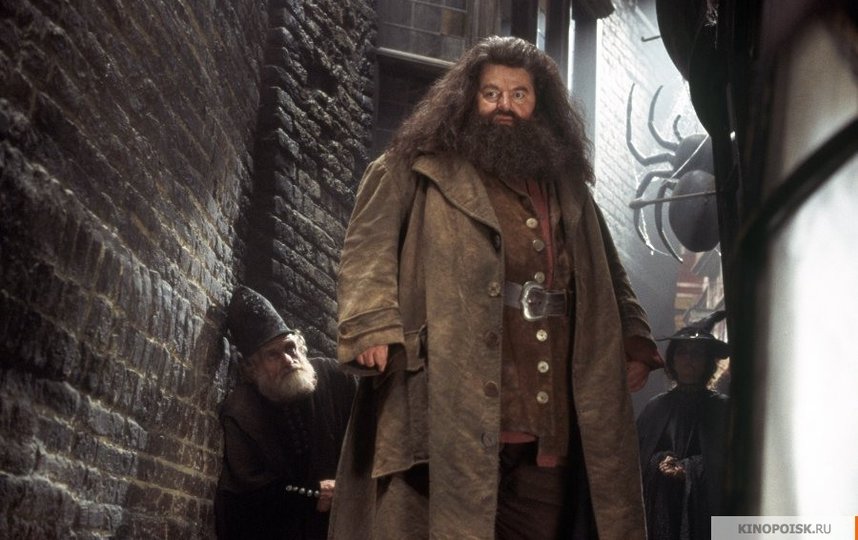 Кадр из фильма "Гарри Поттер и тайная комната". Фото "Каро-Премьер", kinopoisk.ru