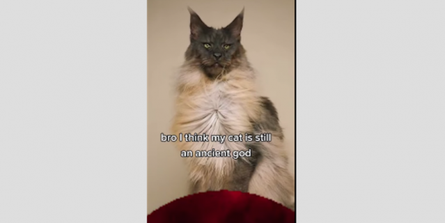 Сакральные коты.