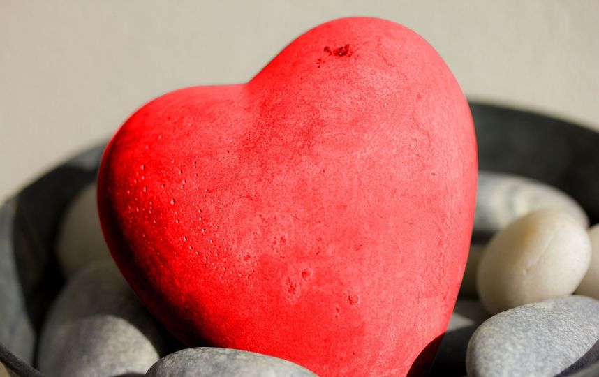 Учёные изобрели пластырь для сердца