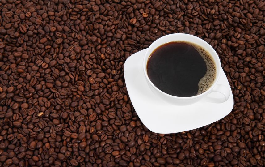 C точки зрения эволюции, горький вкус должен вызывать отвращение. Фото Pixabay