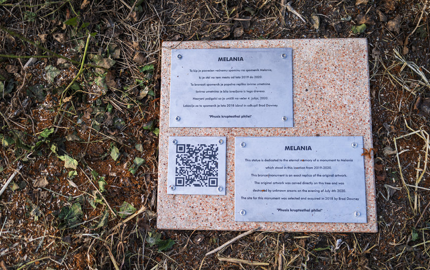 Рядом с новым памятником установлена табличка в память об уничтоженной статуе. Фото AFP