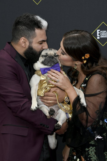 Победу в номинации "Лучший питомец года" на церемонии премии People’s Choice Awards одержал мопс Даг. Фото Getty