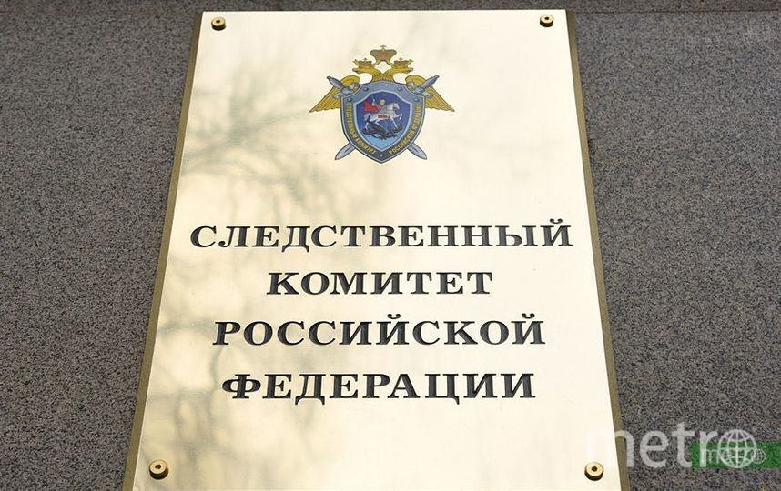 В Вене похитили трехлетнюю девочку из России