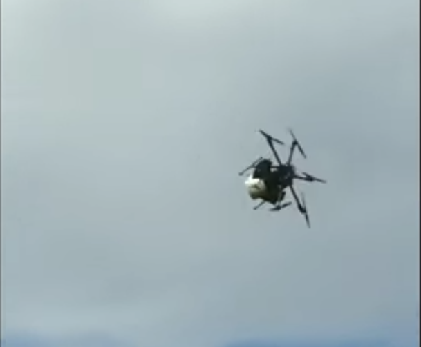 Скриншот youtube.com/watch?v=lDhS27oe4hE.