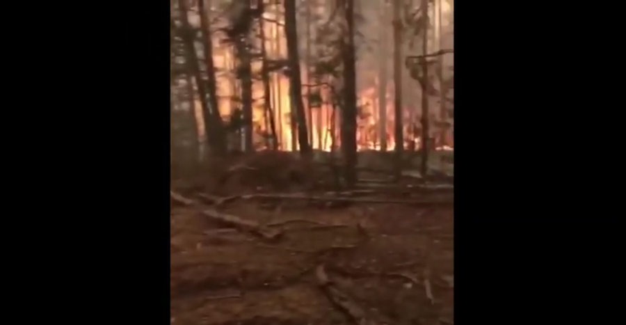 Пожар, Чернобыль, 2020 год. Фото Скриншот Youtube/watch?v=Ed3eNOwAuxo