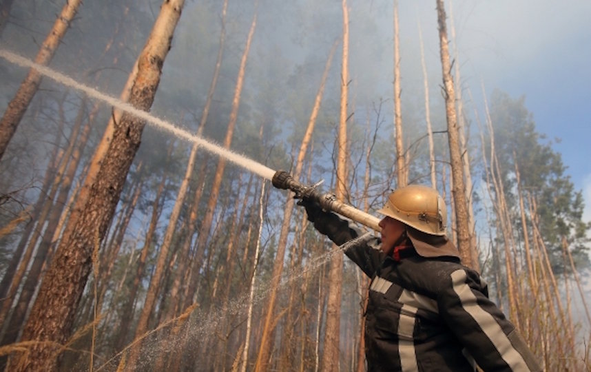 Сотрудник пожарной охраны во время тушения огня, возникшего в районе села Полесское и дошедшего до границы села Раговка, на территории зоны отчуждения Чернобыльской АЭС на Украине, где уже почти неделю не прекращаются лесные пожары. Фото РИА Новости