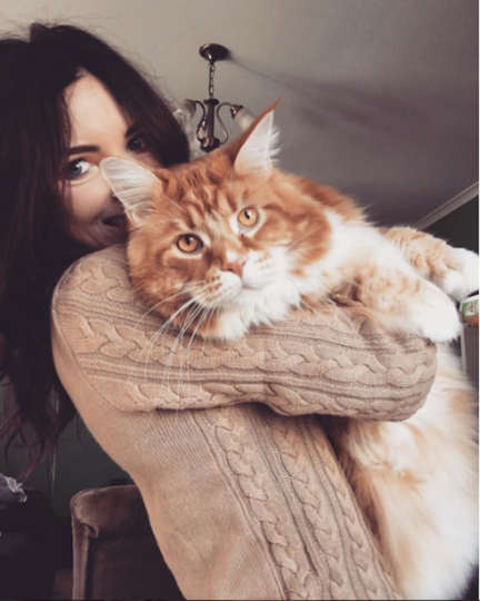 Кот Омар. Фото Скриншот Instagram/omar_mainecoon