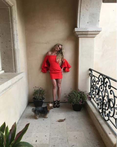 Скриншот instagram.com/britneyspears/.