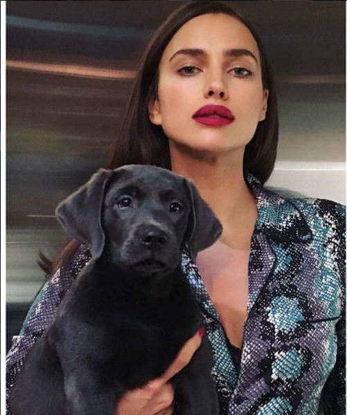 Скриншот instagram.com/irinashayk/?hl=ru.