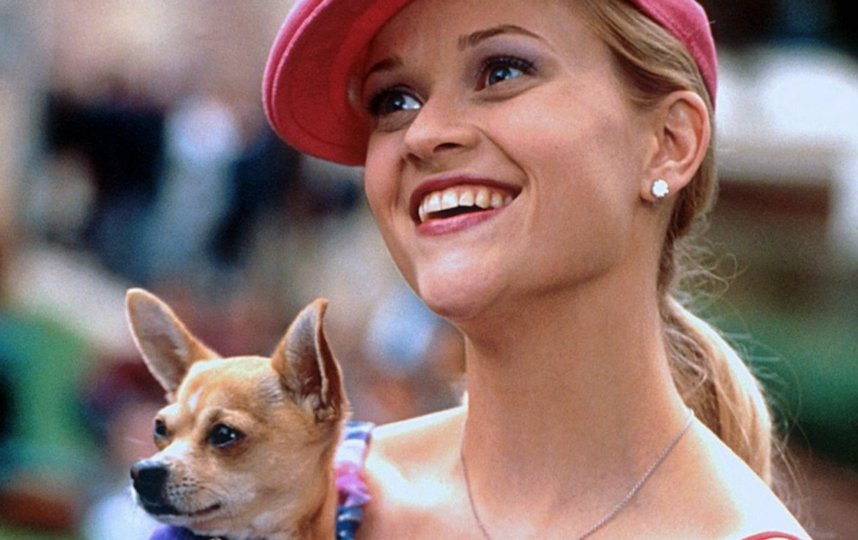 Риз Уизерспун в фильме "Блондинка в законе". Фото кадр из фильма