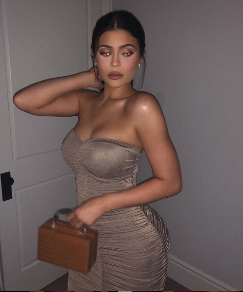 Кайли Дженнер. Фото Скриншот instagram.com/kyliejenner/?hl=ru.