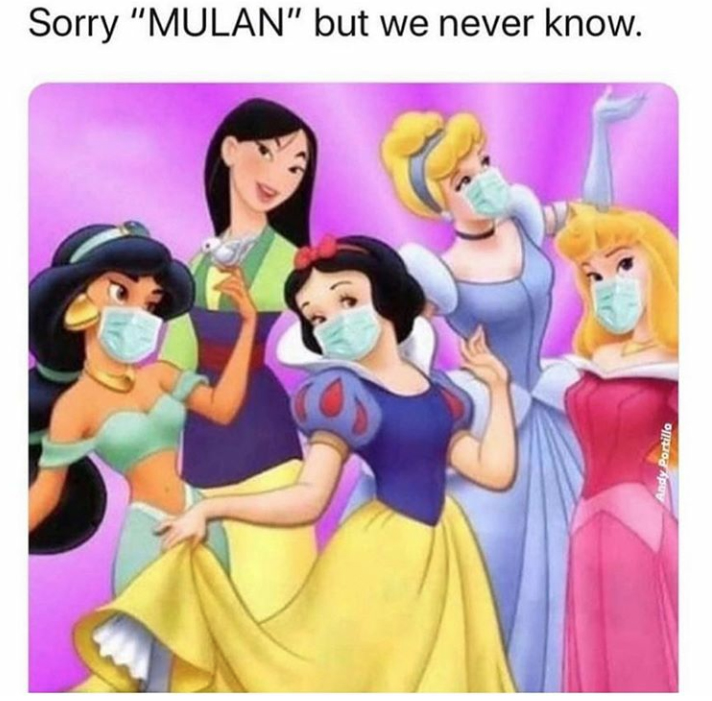 Красотки защищаются. Фото соцсети