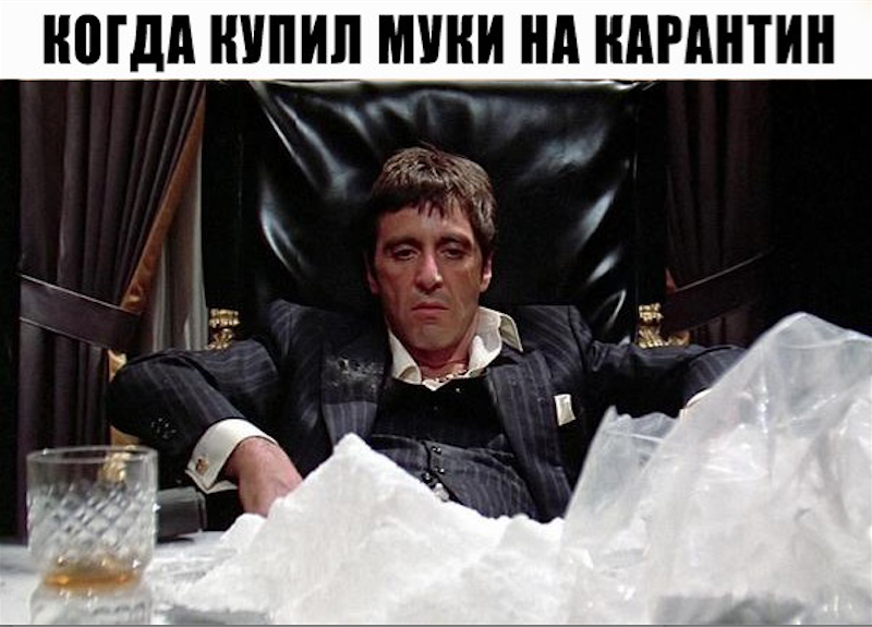 Авторитет в деле. Фото соцсети