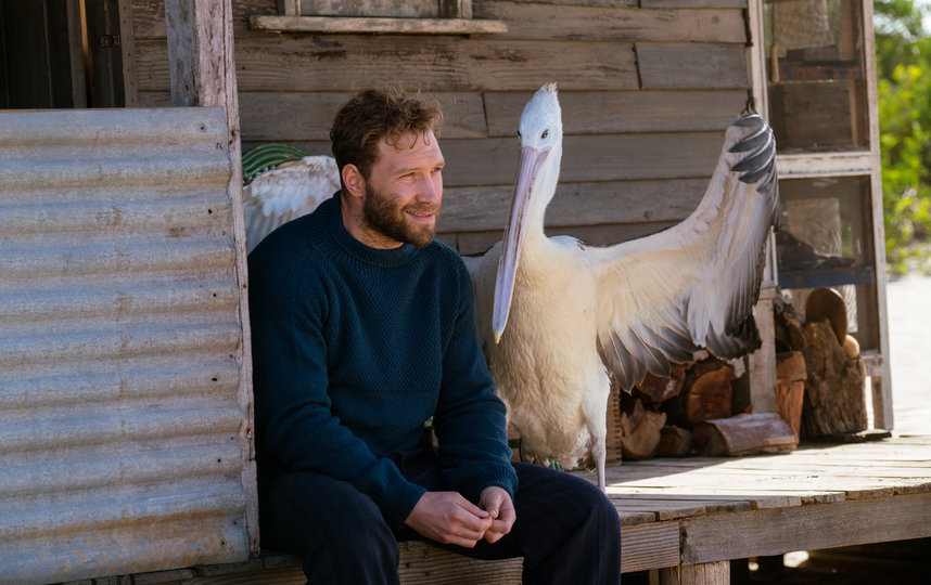 Фильм о пеликане. Фото "Пионер"