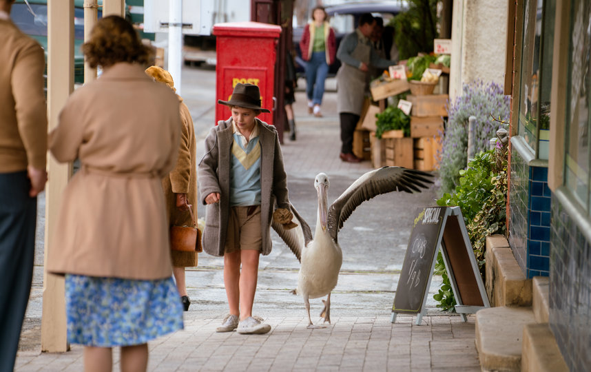 Фильм о пеликане. Фото "Пионер"