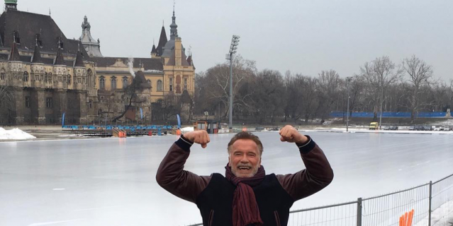 Арнольд Шварценеггер.
