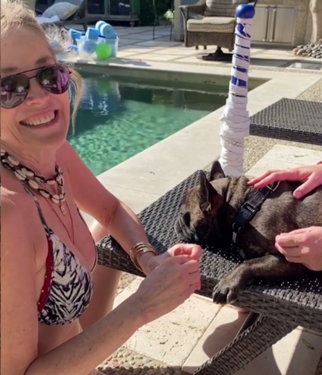 Шэрон Стоун в бикини сделала педикюр собаке. Фото скриншот instagram @sharonstone