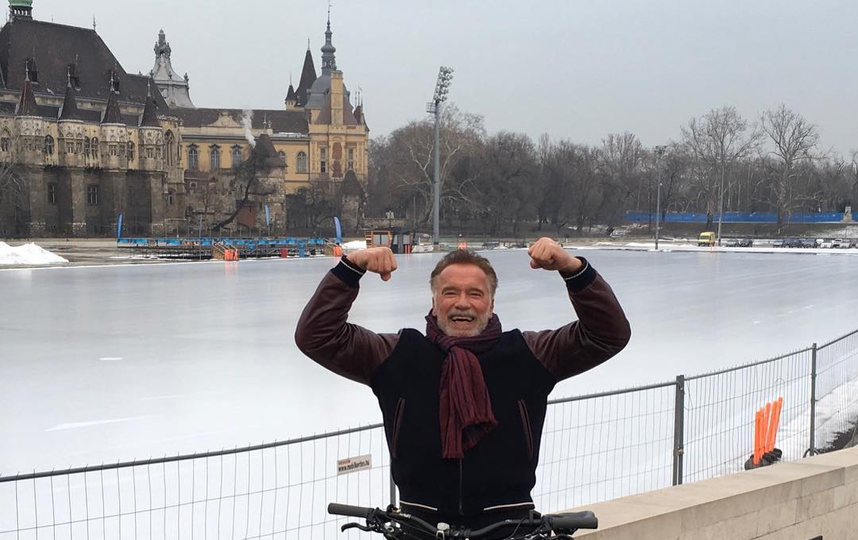 Арнольд Шварценеггер. Фото Скриншот Instagram @schwarzenegger