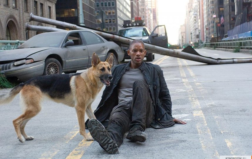 Кадр из фильма "Я – легенда". Фото "Каро-Премьер", kinopoisk.ru