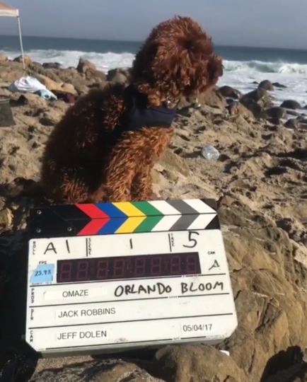 Орландо Блум часто брал Майти с собой в путешествия. Фото instagram @orlandobloom