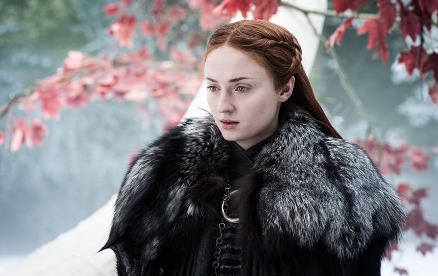 Санса Старк (Софи Тёрнер) в сериале "Игра престолов". Фото Кадр из сериала. HBO, kinopoisk.ru