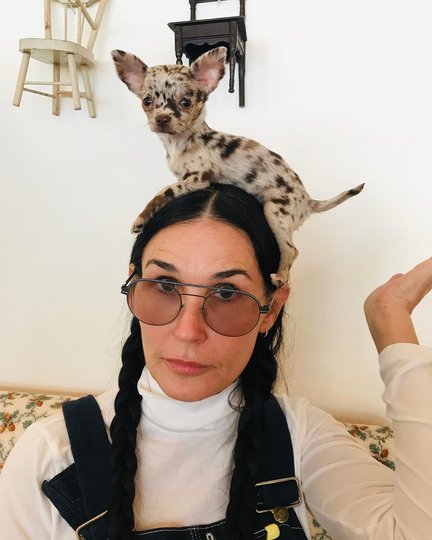 Деми Мур со своей собакой. Фото instagram.com/demimoore.