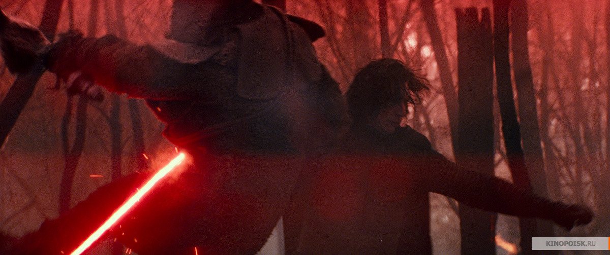Кадр из фильма "Звездные Войны: Скайуокер. Восход". Фото "WDSSPR", kinopoisk.ru