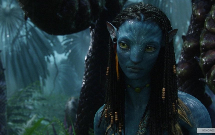 Кадр из фильма "Аватар". Фото Двадцатый Век Фокс СНГ, kinopoisk.ru