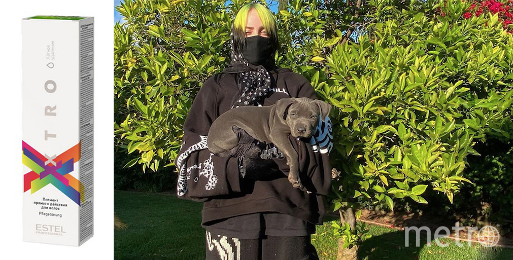 Билли Айлиш. Фото instagram.com/billieeilish, "Metro"