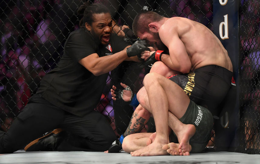 Хабиб Нурмагомедов и Конор Макгрегор. Фото Getty