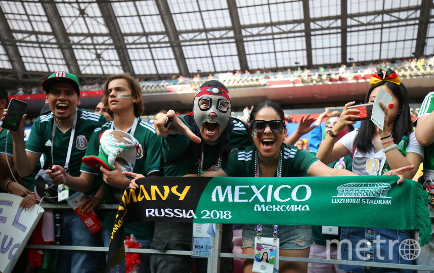 Матч Германия – Мексика в "Лужниках". Фото Василий Кузьмичёнок, "Metro"